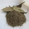 Buy Psychotria viridis leaves Canada