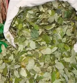 Buy Coca Leaves Canada​